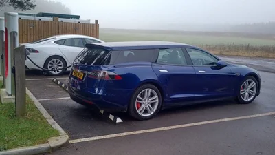 Місце для собаки в Tesla Model S обійшлося в 100 тис. доларів