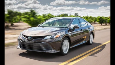 Український авторинок перестав зростати