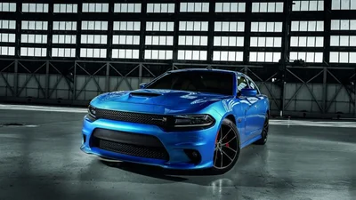 Злодії поцупили 6 масл-карів прямо зі стоянки автовиробника