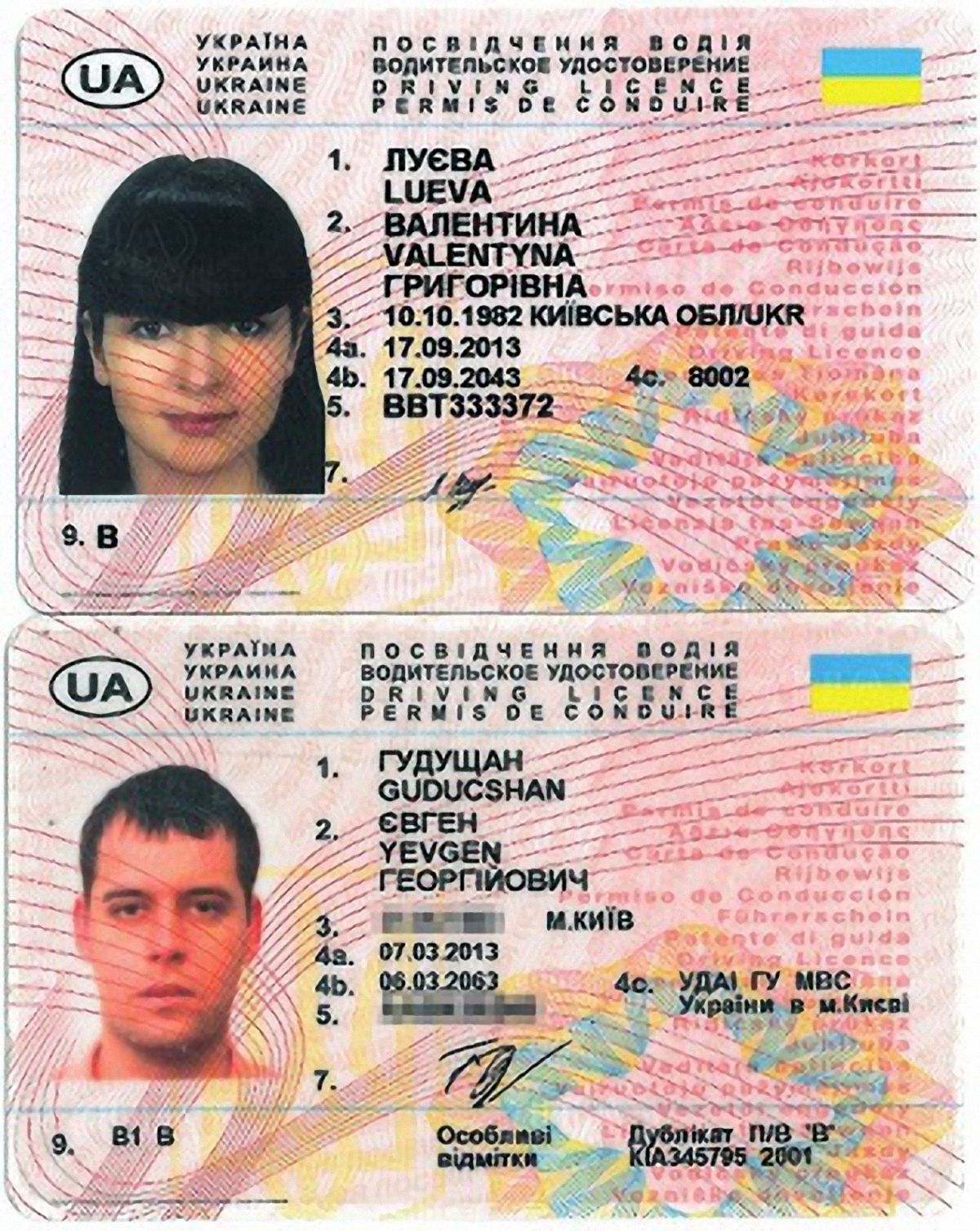 Украинские водительские права