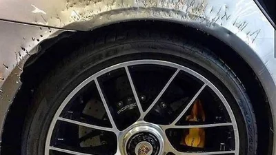 Пес "затюнинговал" Porsche своего хозяина