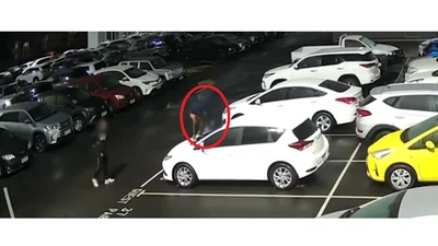 Видео: двое малых разбойников разбили 23 новые Toyota, а потом вернулись и изуродовали еще 14