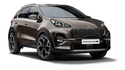 Стали відомі найпопулярніші автомобілі в Україні за класами