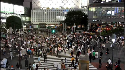 Пешеходные переходы будут обозначать креативными знаками