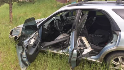 Ведмеді відчиняють двері авто та їздять: відео