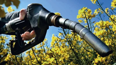 Верховна Рада не підтримала розбавляння бензину спиртом