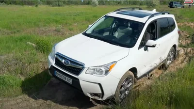 Преодолеет ли Subaru Forester IV настоящее бездорожье: видео