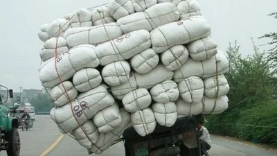 Полиция может получить право осуществлять габаритно-весовой контроль