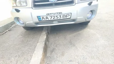 Український водій вигадав оригінальний спосіб приховування номерного знаку від камер