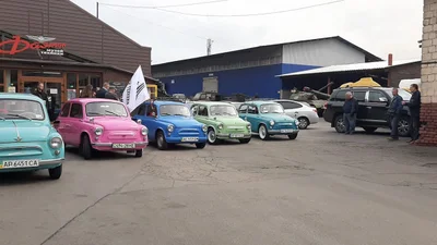 В Запоріжжі відзначили 60-річчя "горбатого" ЗАЗ-965