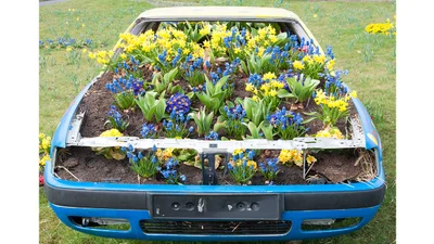 Завдання для автовласника весною: поради по догляду за авто