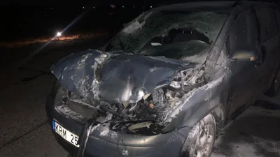 "Евробляха" подбила украинский военный самолет: фото