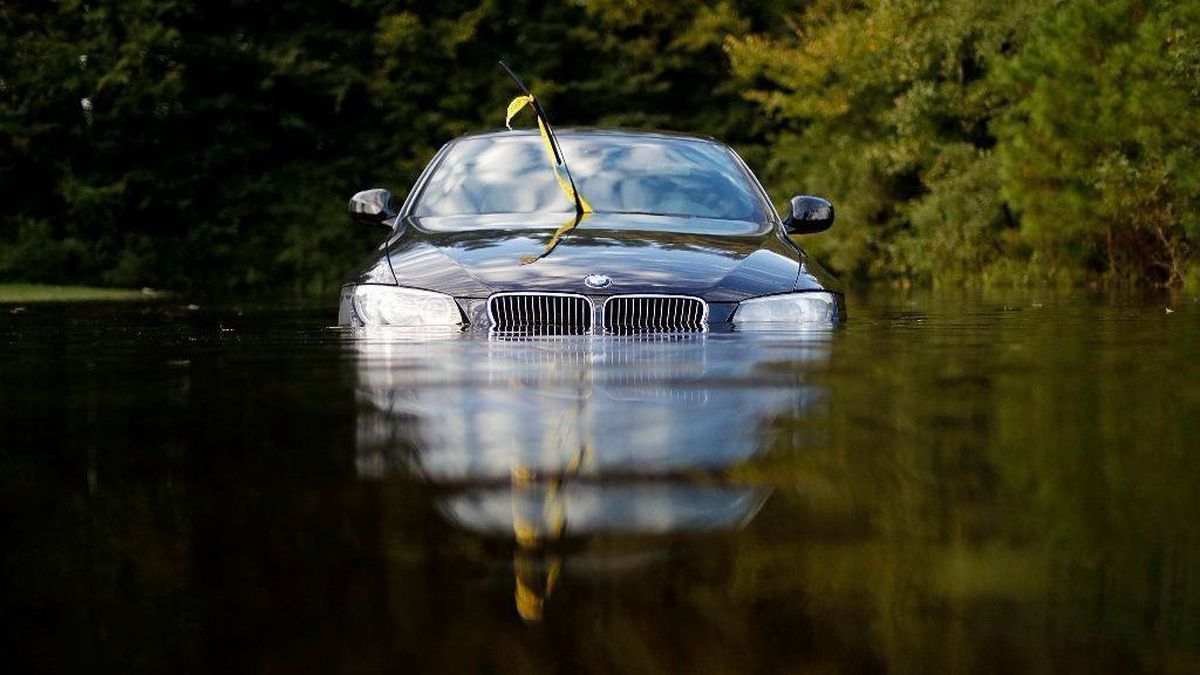 11 советов, как распознать автомобиль-утопленник