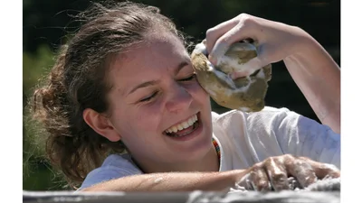 Сухая химчистка салона авто своими руками: инструкция