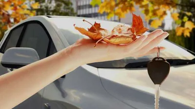 Каких автомобилей больше всего купили в ноябре украинцы: рейтинг