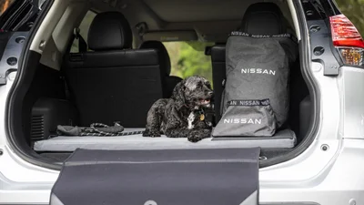 Nissan випустив набір аксесуарів для власників домашніх тварин - 20 січня 2022 - Auto24