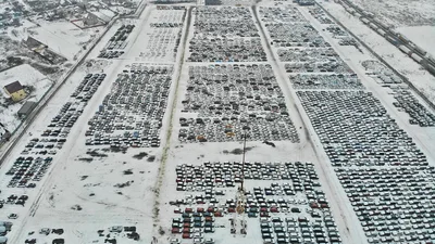 В украинском порту накопилось 2500 автомобилей - 28 января 2022 - Auto24