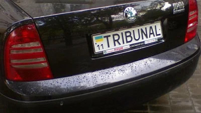 Сервисные центры МВД возобновили услуги по выдаче индивидуальных номеров