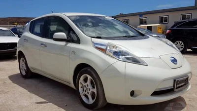 Названі найпопулярніші кольори електромобілів українського ринку