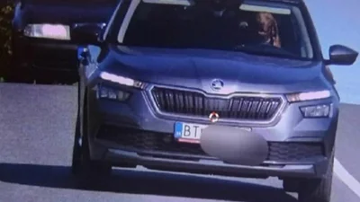 Собака за рулем попала на юбках: водитель оштрафован - Auto24