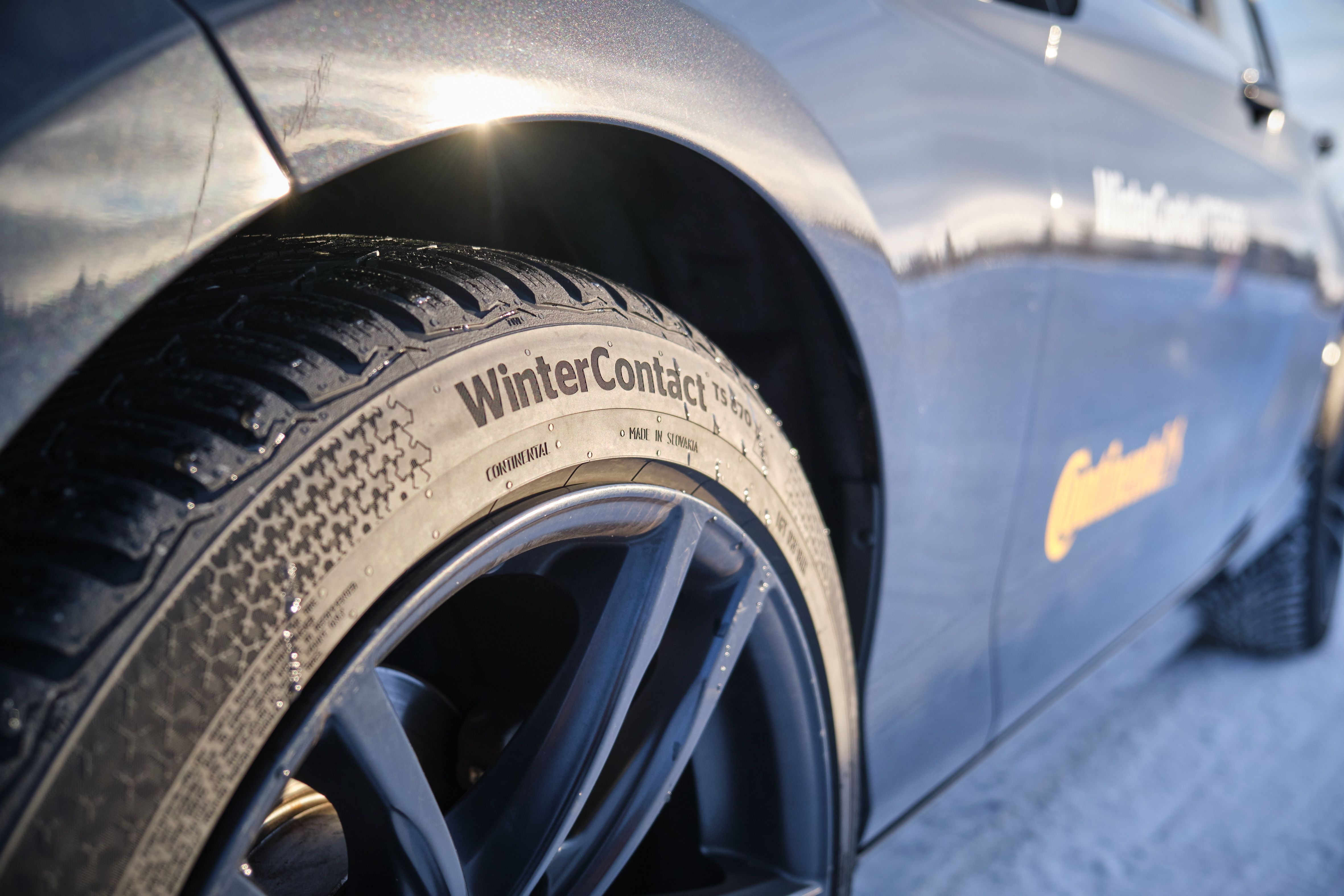 Шины continental wintercontact ts 870 p. Continental WINTERCONTACT TS 870. Continental CONTIWINTERCONTACT TS 870. Continental 205/55r16 WINTERCONTACT TS 870 91t. Шины Continental WINTERCONTACT TS 870 205/55 r16 91h.