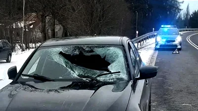 Глыба льда упала с фуры на BMW и ранила его владельца: что произошло с водителем грузовика