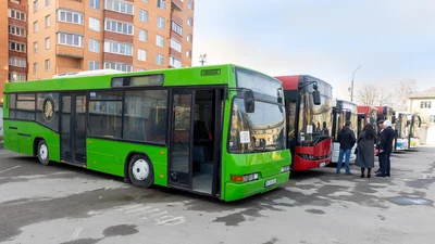 Дипломати Чехії подарували школам Тернопільщини 8 великих автобусів  - Auto24