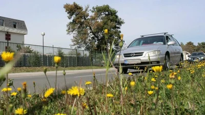 Подати для алергиків за кермом - Auto24