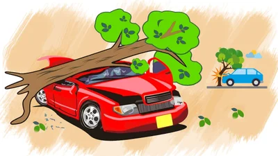 Если на авто упало дерево: должны ли платить коммунальщики - Auto24