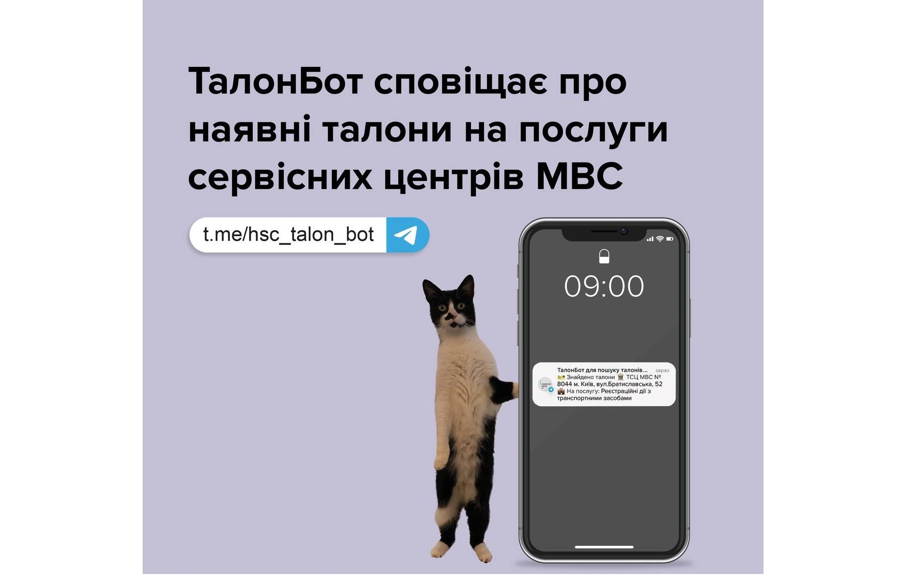 Telegram-бот свободные талоны в МРЕО - Auto24