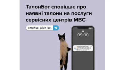 Telegram-бот свободные талоны в МРЕО - Auto24