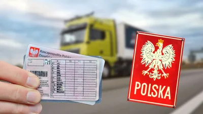 Украинские водители могут массово покинуть Польшу: названы две причины