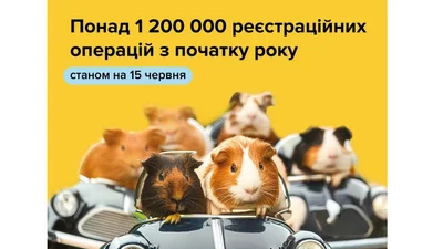 Сколько автомобилей регистрируют в Украине: статистика - Auto24