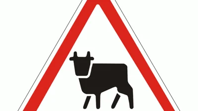 Мужчина прятался от блокпостов в прицепе с коровой на пути в Одессу - Auto24