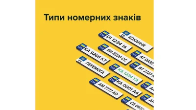 Чем отличаются номерные знаки и как их выбрать - Auto24