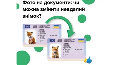 Як поміняти фото в "правах" - Auto24