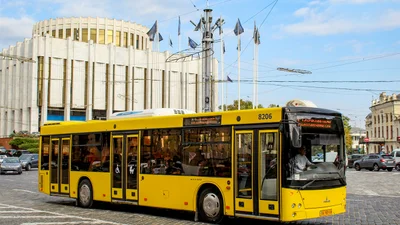 Громадський транспорт столиці "взули" шинами підвищеної вартості - Auto24