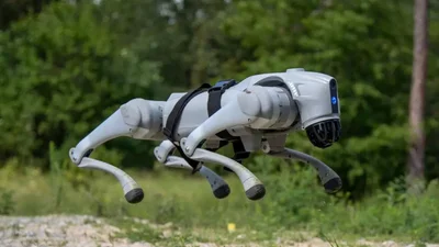 Пес-сапер не їде, але йде, повзе, стрибає і може робити те, чого колісні та гусеничні машини не зроблять - Auto24